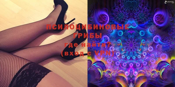 амф Бронницы