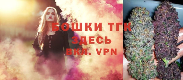 амф Бронницы