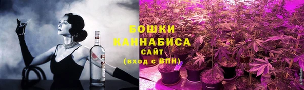 apvp Богданович